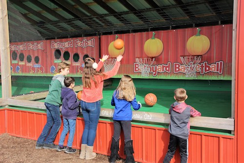 Barnyard Ball Throw at Rader Family Farms