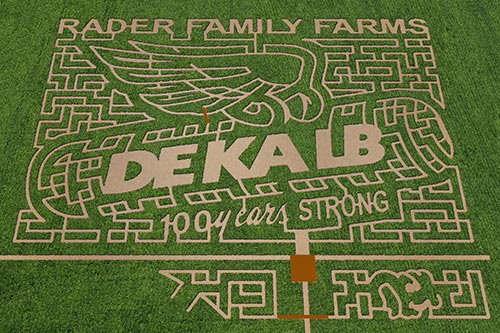 2012 Rader Family Farms Corn Maze